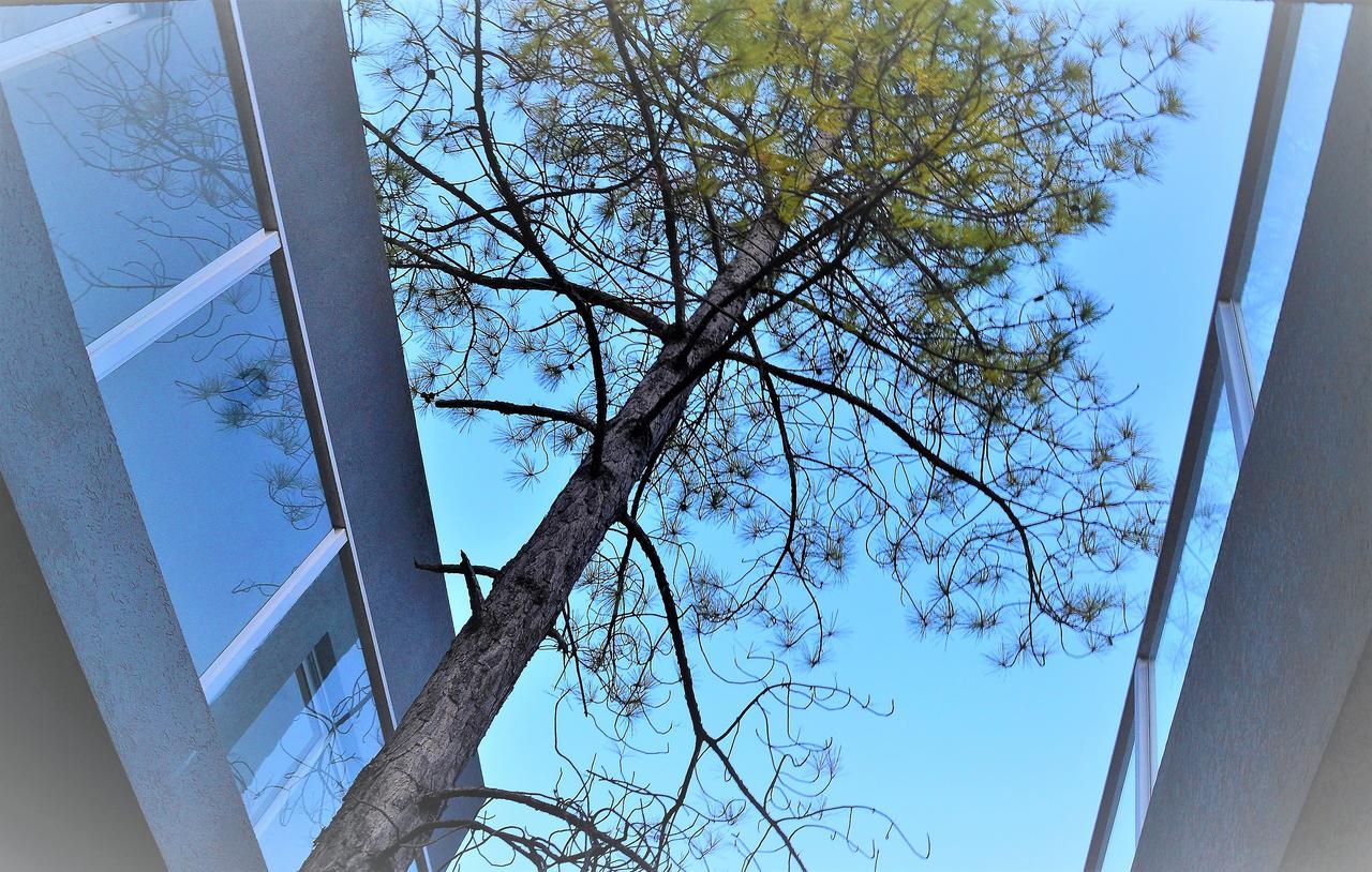 Hotel Pedrino เบนาโด ตูแอร์โต ภายนอก รูปภาพ